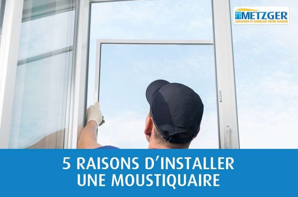 5 raisons d’installer une moustiquaire