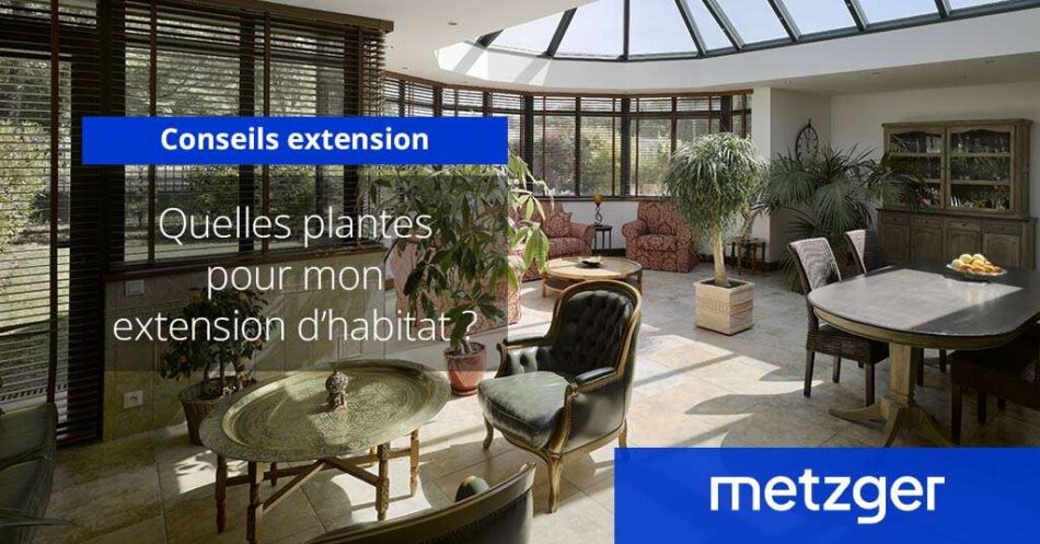 Quelles plantes pour mon extension d&rsquo;habitat ?